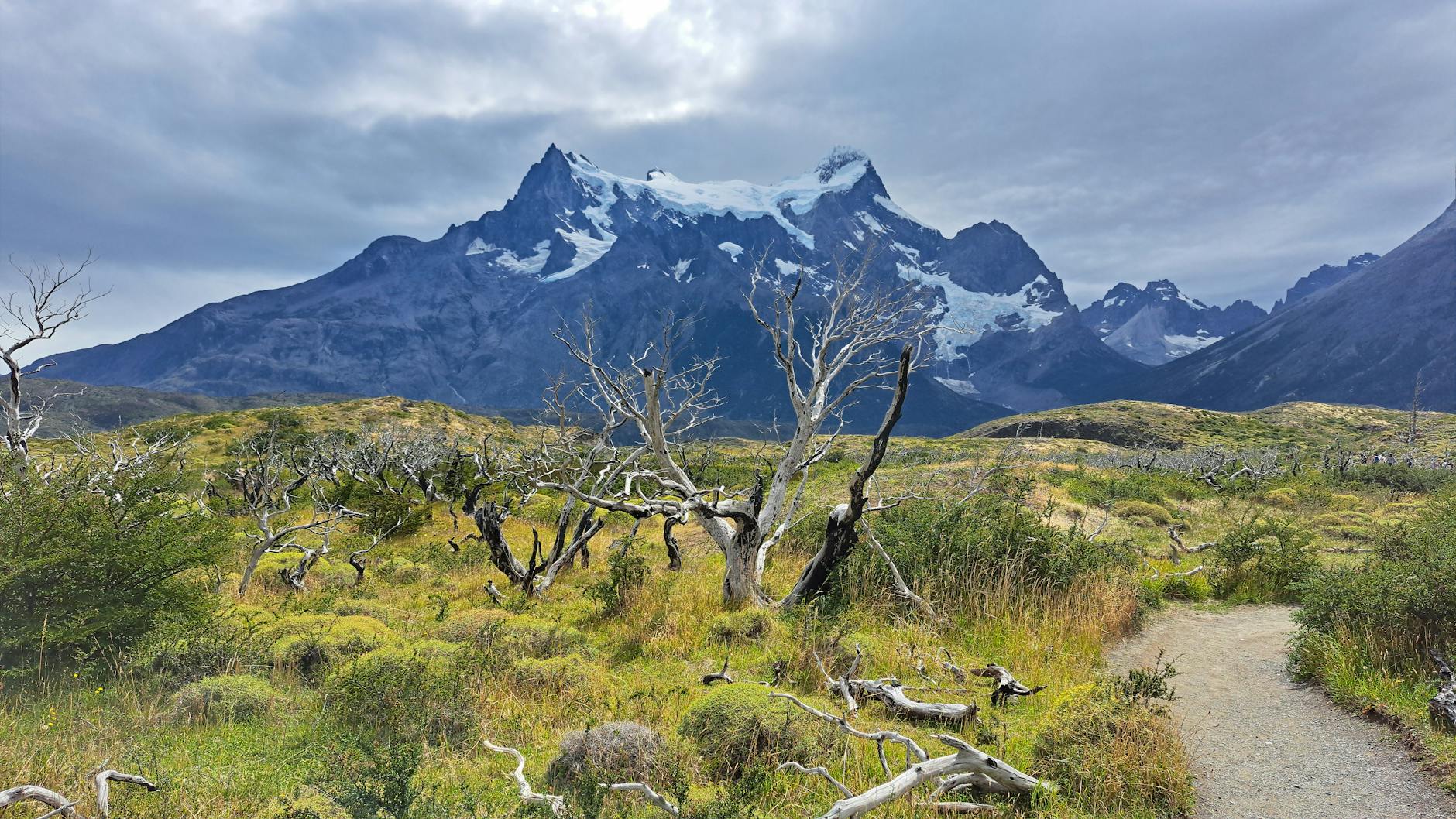 Góry Torres del Paine nad zieloną doliną pod dramatycznym niebem Góry Torres del Paine nad zieloną doliną pod dramatycznym niebem
